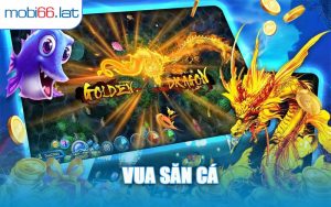 Vua Săn Cá