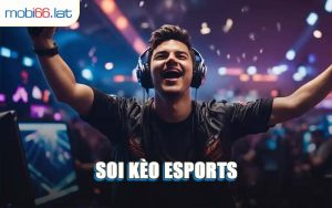 Soi Kèo Esports