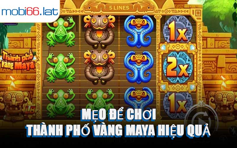 Mẹo Để Chơi Thành Phố Vàng Maya Hiệu Quả